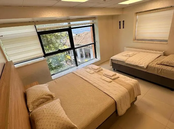 מלון Shero Palace